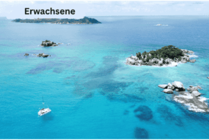 Seychellen Mitsegeln Katamaran Erwachsene